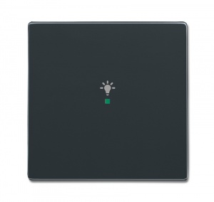 Клавиша одинарная, освещение, future, антрацит