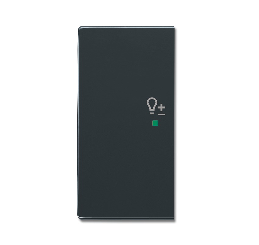 Клавиша двойная левая, светорегулятор, future, антрацит