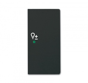 Клавиша двойная правая, светорегулятор, future, цвет чёрный бархат