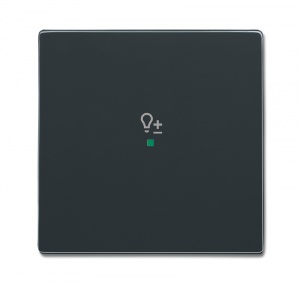 Клавиша одинарная, светорегулятор, future, антрацит