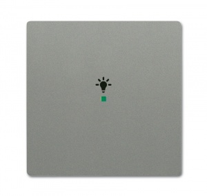 Клавиша одинарная, освещение, future, цвет meteor/серый металлик