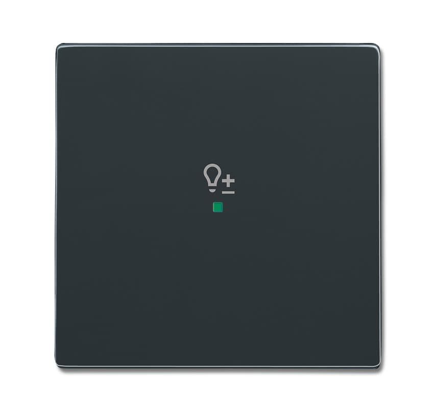 Клавиша одинарная, светорегулятор, future, антрацит