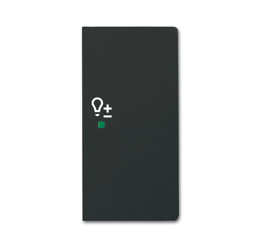 Клавиша двойная правая, светорегулятор, future, цвет чёрный бархат