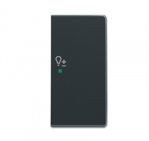 Клавиша двойная правая, светорегулятор, future, антрацит