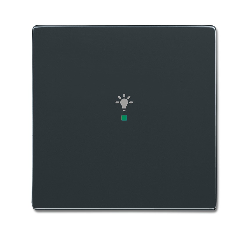 Клавиша одинарная, освещение, future, антрацит